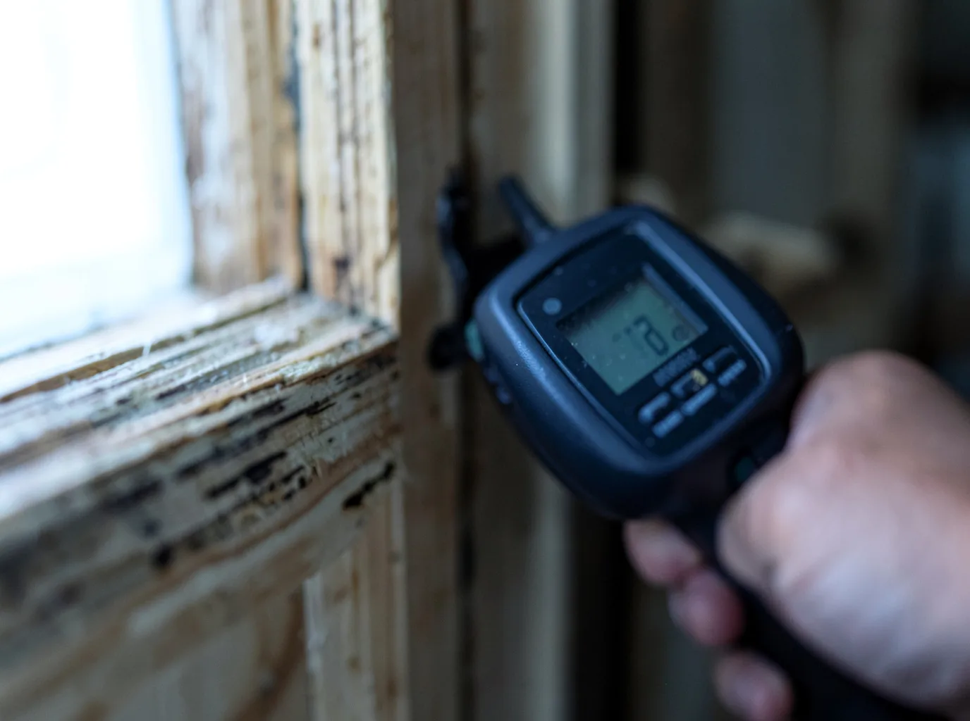 Moisture Inspection And Documentation in Coffeen, IL